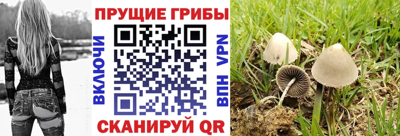 Псилоцибиновые грибы GOLDEN TEACHER  Заполярный 